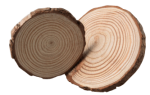 wood-log-3D